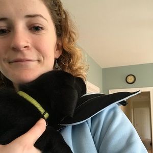 Meet your Posher, Maddy